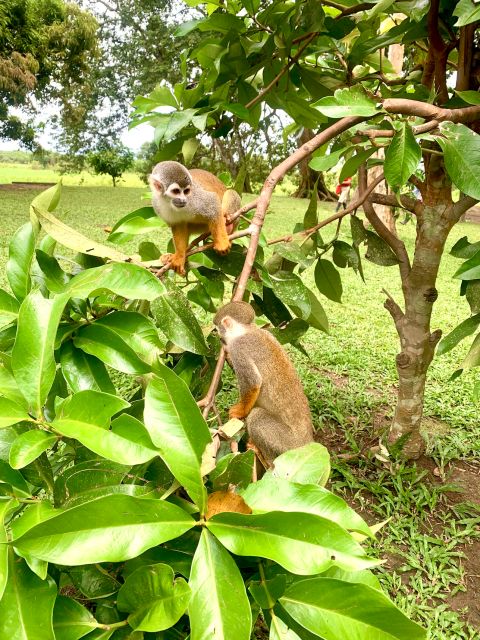 4-Day All Inclusive Pacaya Samiria Reserve From Iquitos - Meeting Point