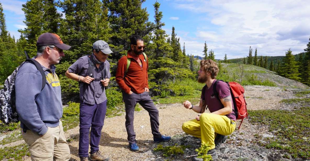 4 Hour Off-Trail Wilderness Wonders Tour in Denali - Inclusions and Important Information