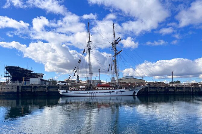 90-Minute Maritime and Dolphins Cruise in Port Adelaide - What to Expect