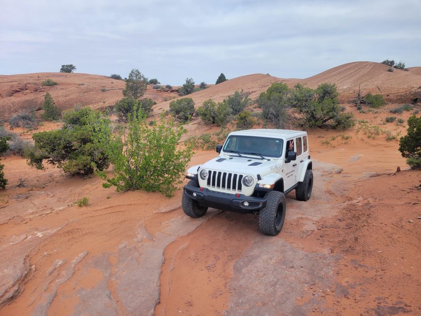 Afternoon Arches National Park 4x4 Tour - Provider Information
