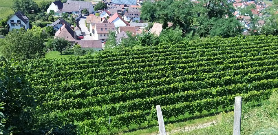 Alsace: Private Wine Tour - Important Information