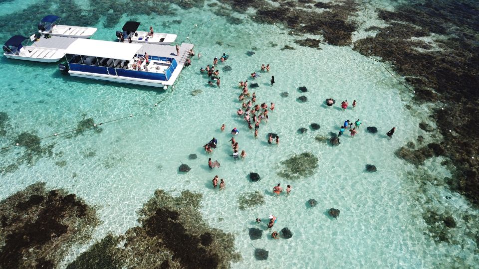 Antigua: Stingray City Experience Ticket - Customer Reviews