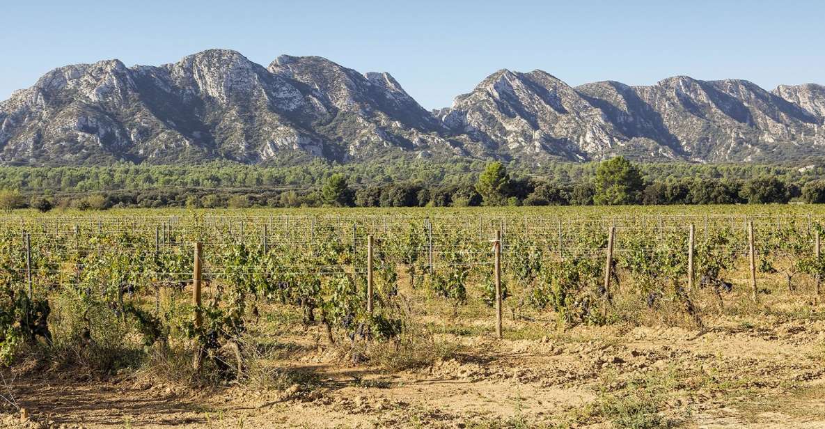 Arles, Saint-Rémy & Les Baux De Provence: Guided Tour - Customer Reviews