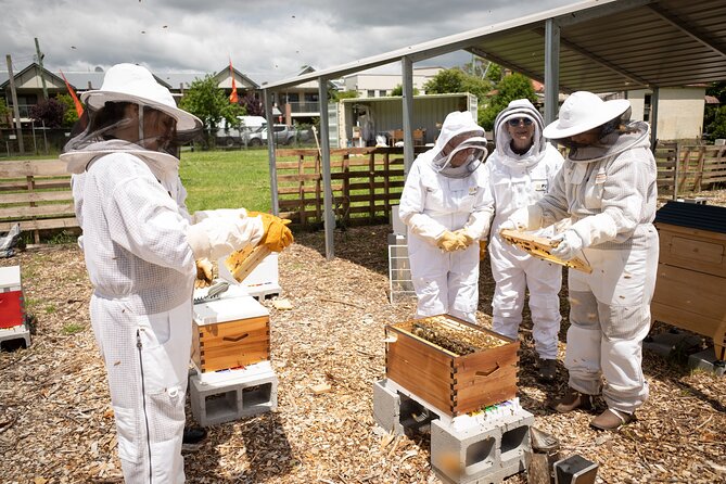 Beekeeping. Honey and Hive. - Miscellaneous Information
