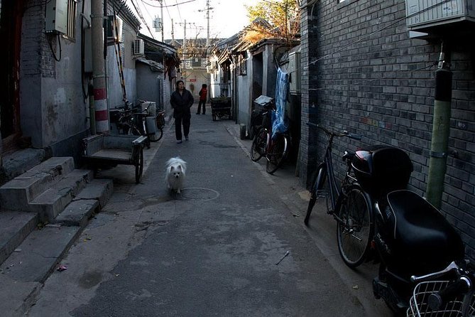 Beijing Old Hutongs Tour by Rickshaw - Review Excerpts and Criticisms