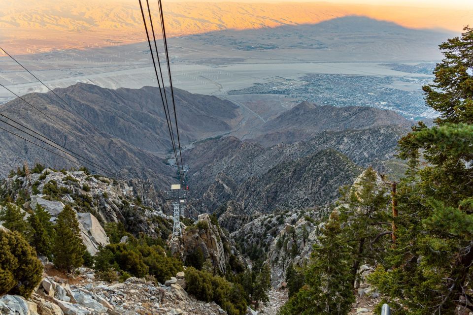Best of Palm Springs Small Group Tour W/ Aerial Tram - Provider Information