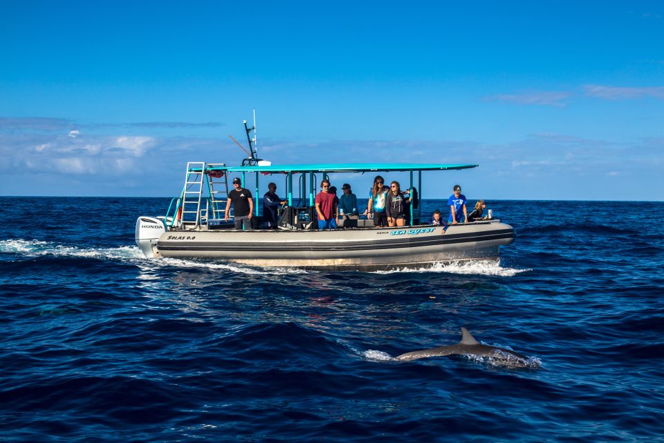 Big Island: South Kona Snorkeling and Coastline Exploration - Sum Up