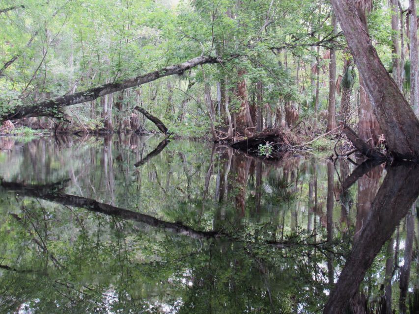 Blackwater Creek: Exclusive Nature Escape Kayak Adventure - Booking Information