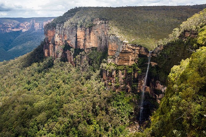 Blue Mountains Highlights & Wildlife Park - Cultural Insights and Local Cuisine