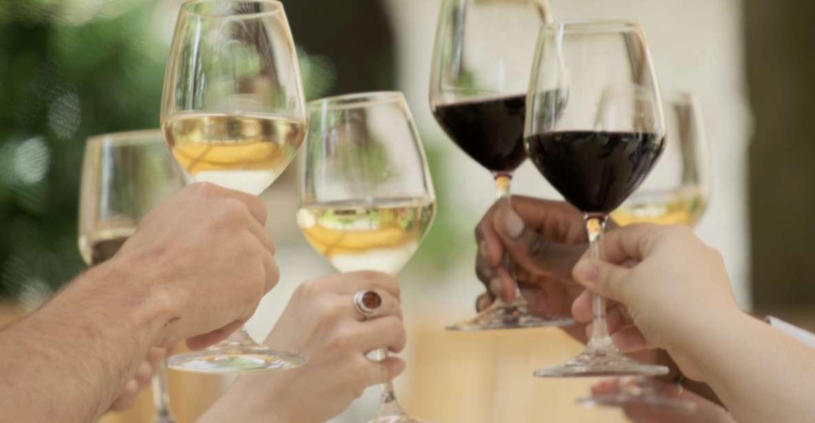 Bordeaux : Full Day Wine Tastings & Lunch - Cancellation Policy and Reservation