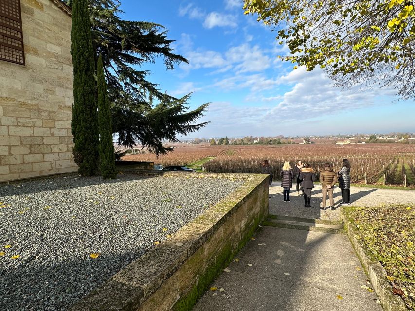 Bordeaux: Saint-Émilion Wine Tour in a Small Group - Language Options and Highlights