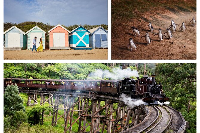 Brighton Bath Boxes, Puffing Billy, and Penguin Parade in Chinese - Tour Logistics