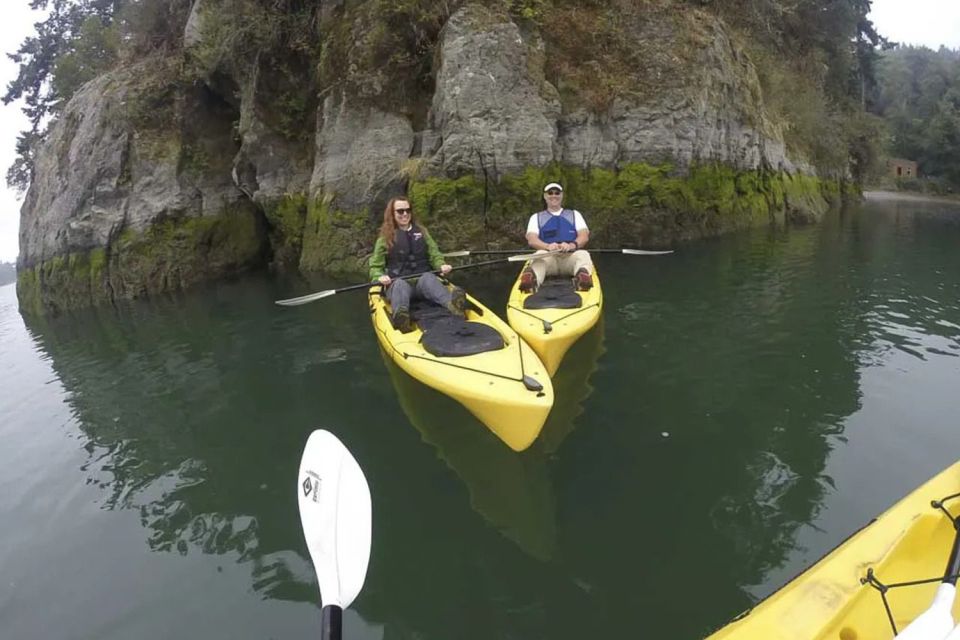 Brookings: Pacific Ocean Kayak Tour - Tour Highlights