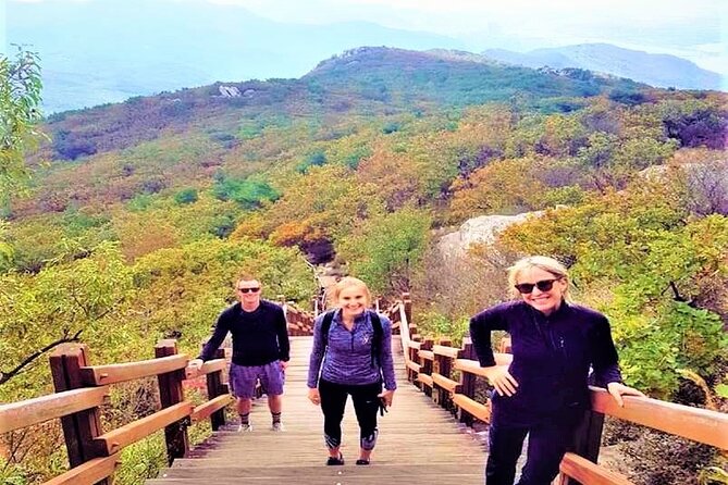 Busan Private Hiking Tour : Panoramic Views Awaits - What to Expect