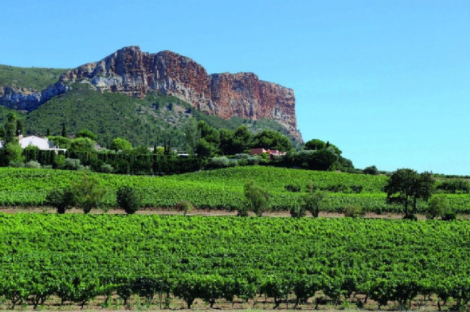 Calanques of Cassis, Aix-en-Provence & Wine Tasting Day Tour - Tour Description