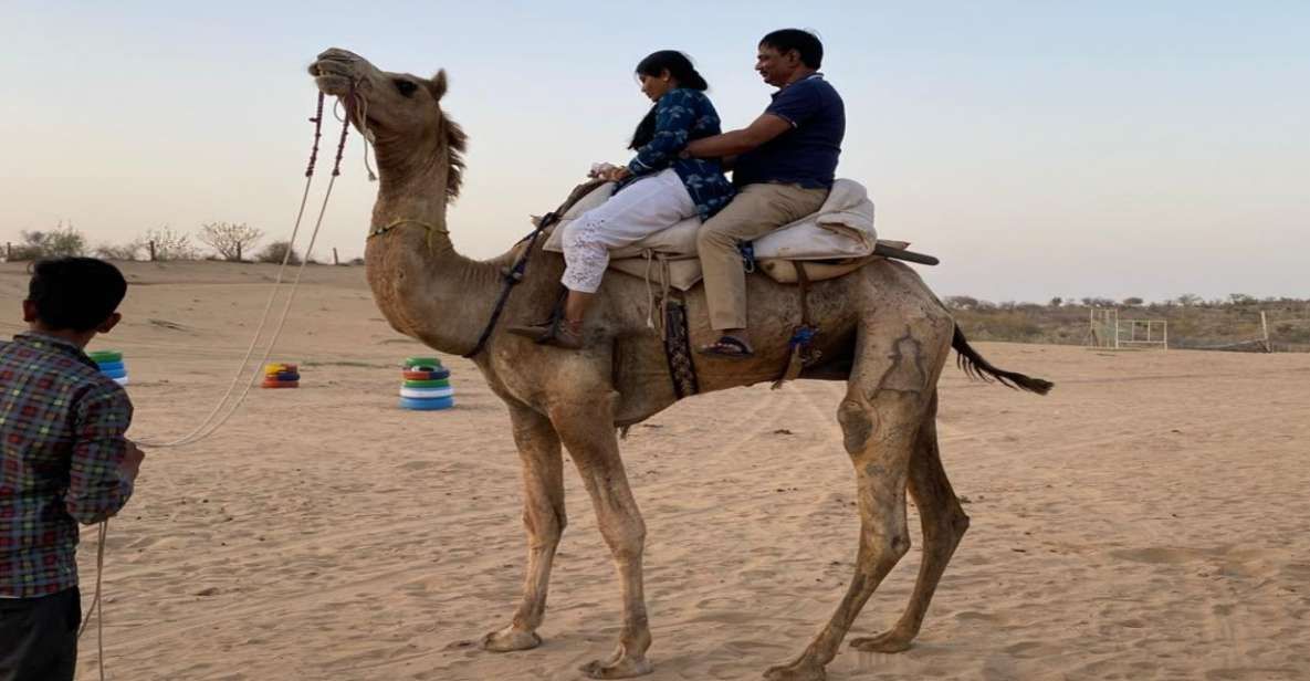 Camel Safari Half Day Tour in Jodhpur With Dinner - Tour Highlights