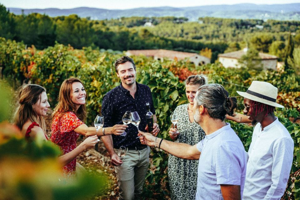 Cannes: Provence Wine Tour - Private Tour From Cannes - Activity Description