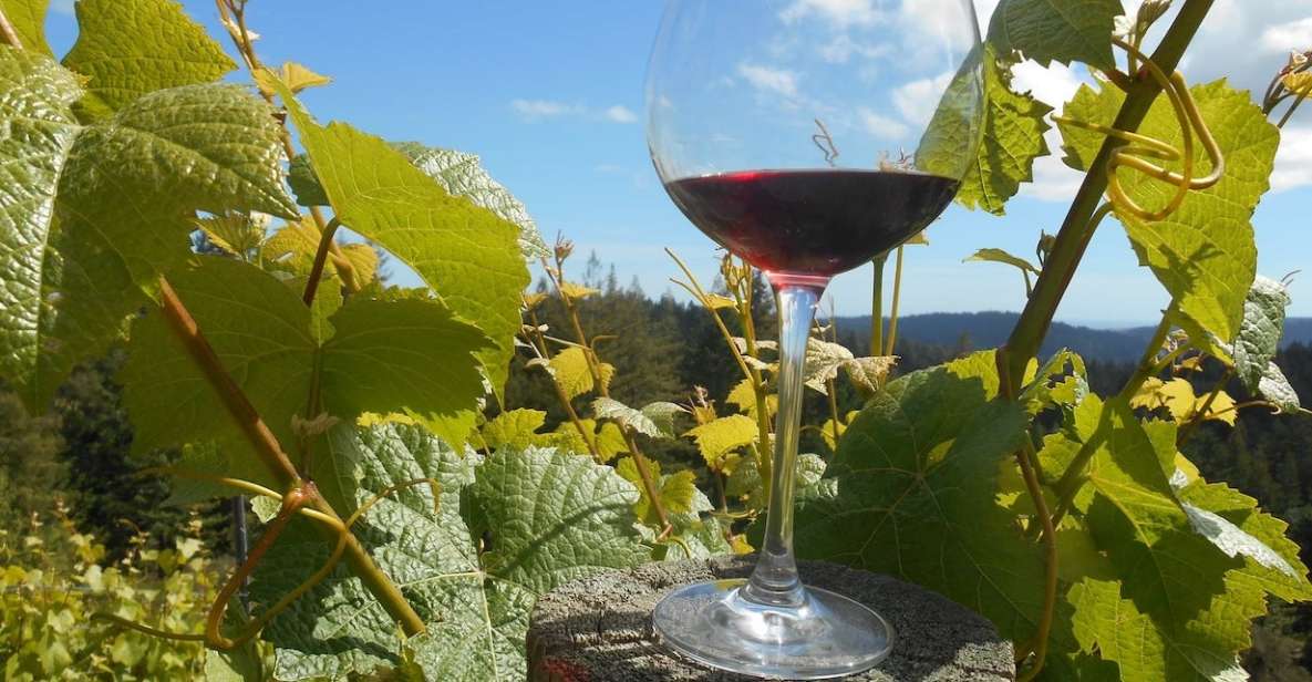 Carmel Valley Wine Tasting Tour - Group Tour Information