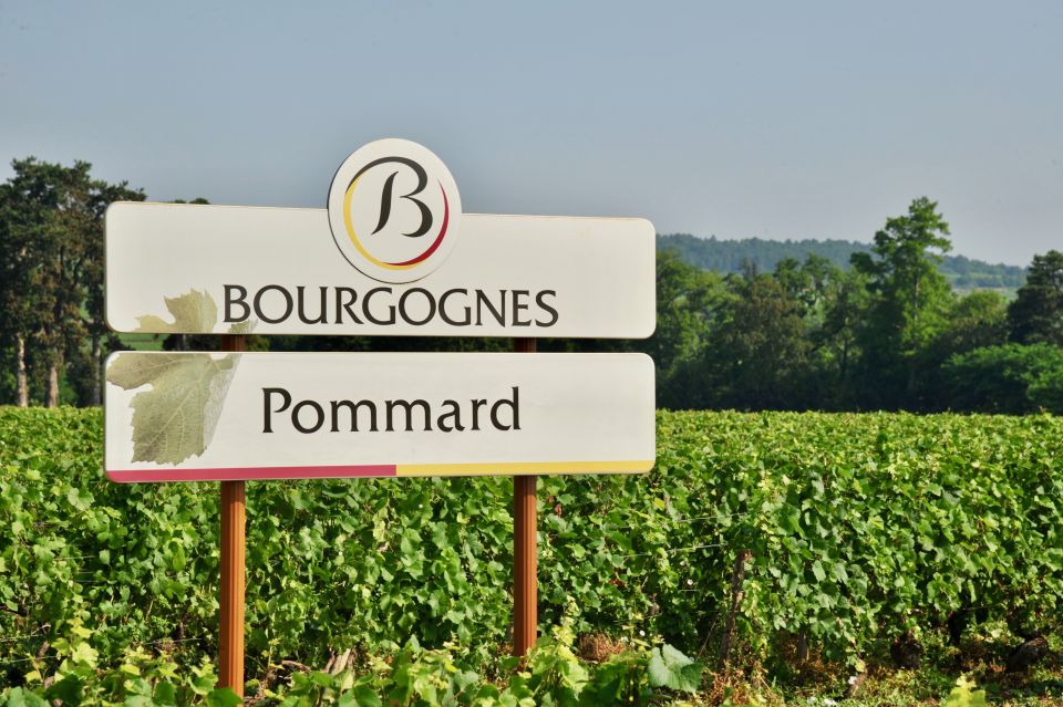 Côte De Beaune Private Local Wineries and Wine Tasting Tour - Important Info