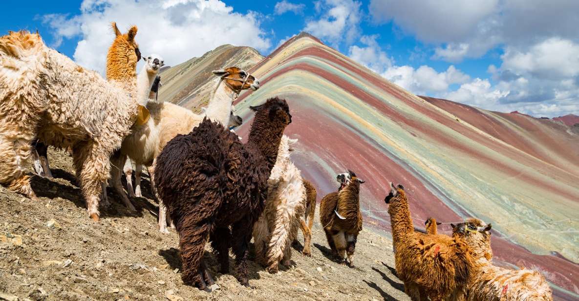 Cusco: Machu Picchu and Rainbow Mountain 5-Days Tour - Day 2 - Sacred Valley Connection