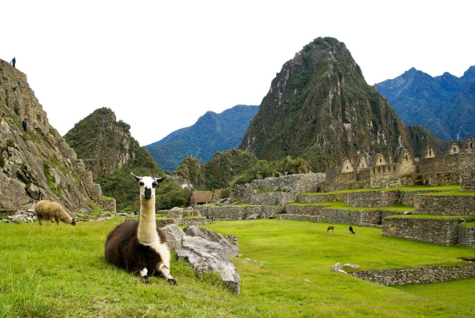 Cusco: Private Full-Day Tour of Machu Picchu With a Local - Important Information