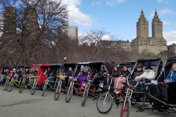 Deluxe 1.5-Hour Central Park Pedicab Tour - Accessibility Services