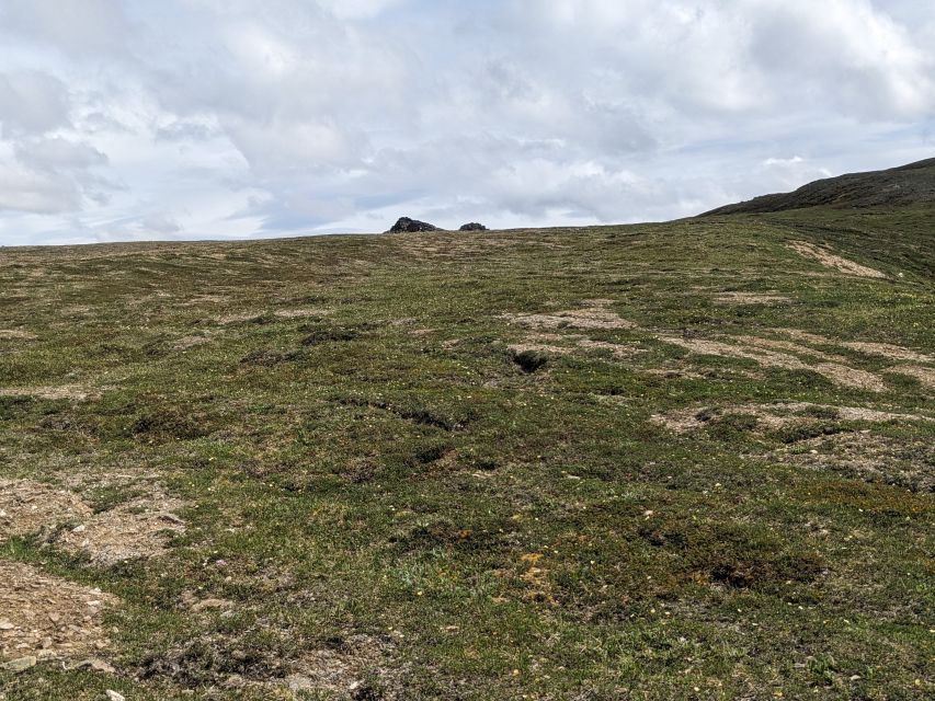 Denali: 5 Hour Guided Into The Mountains Hiking Tour - Key Points