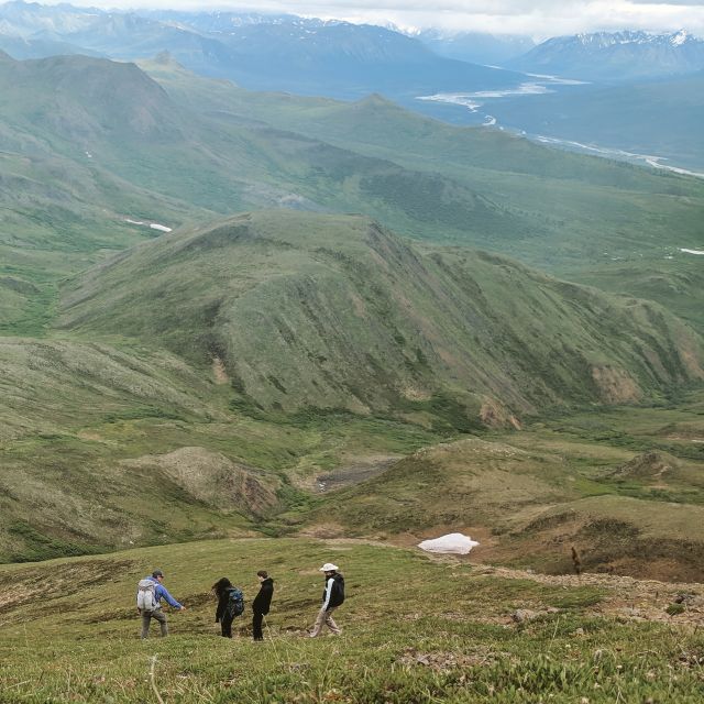 Denali: 5-Hour Guided Wilderness Hiking Tour - Tour Guide Expertise