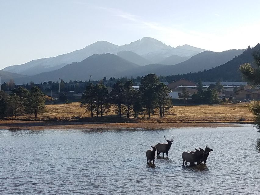 Denver: Rocky Mountain National Park Tour With Picnic Lunch - Tour Highlights and Itinerary