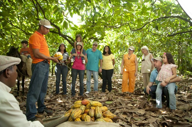 Dominican Republic: 3-Hour Chocolate Lovers Tour - Activity Description