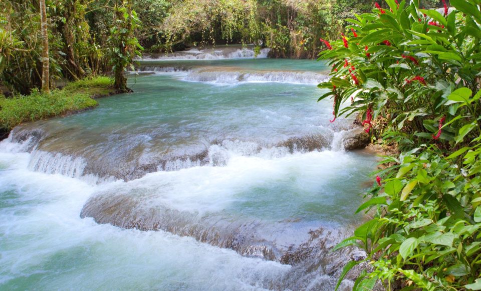 Dunns River Falls and Ziplines Private Tour - Inclusions