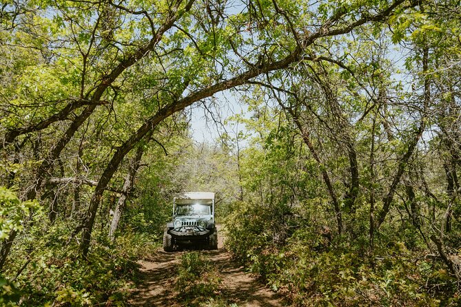 East Zion Brushy Cove Jeep Tour - Logistics