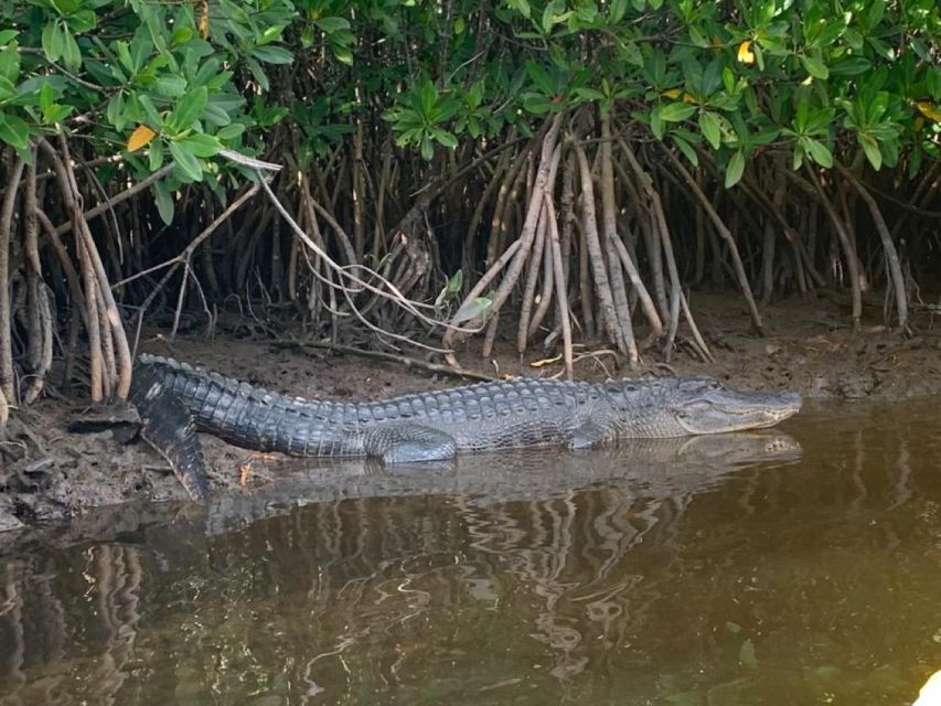 Everglades Kayak Eco Tour - Select Participants and Date