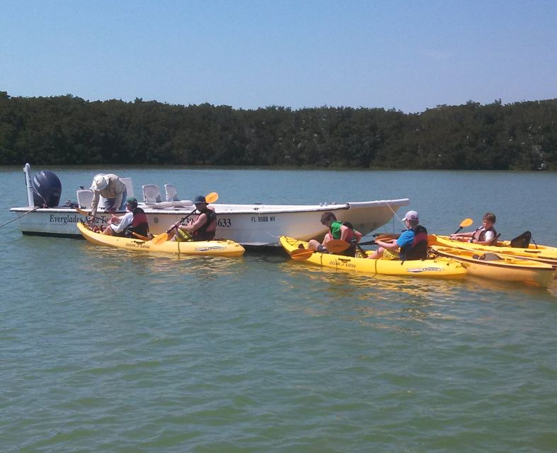 Everglades National Park: Boat Assisted Kayak Eco Tour - Full Description