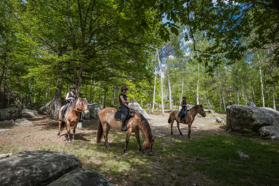 Fontainebleau : Horse-riding, Gastronomy & Château - Château De Fontainebleau Tour