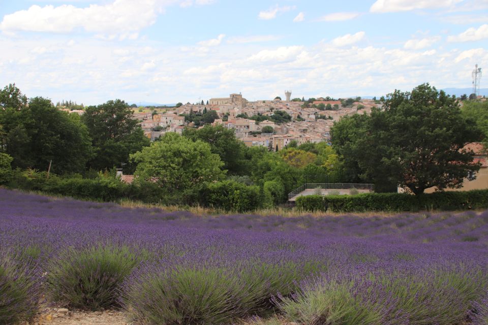 From Aix-En-Provence: Lavender Experience & Gorges Du Verdon - Inclusions