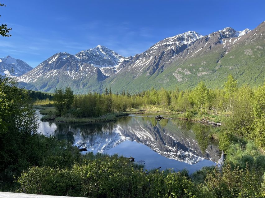 From Anchorage: Valley and Forest Hike With Naturalist Guide - Highlights