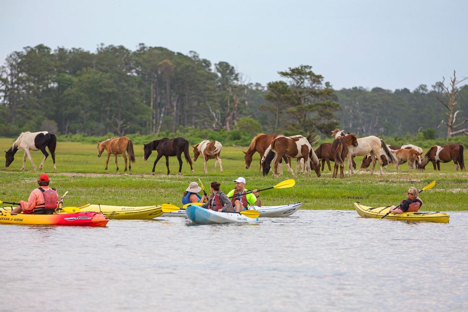 From Chincoteague: Guided Kayak Tour to Assateague Island - Booking Information