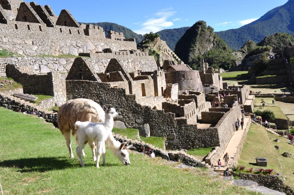 From Cusco: 2-Day Inca Trail Hiking Tour to Machu Picchu - Common questions