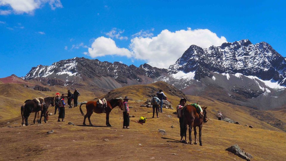 From Cusco: 5-Day Journey of Colors to Machu Picchu - Inclusions and Exclusions