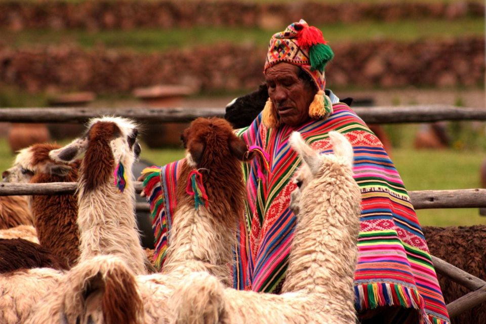 From Cusco: 6-Day Machu Picchu and Cusco Tour - Included Services