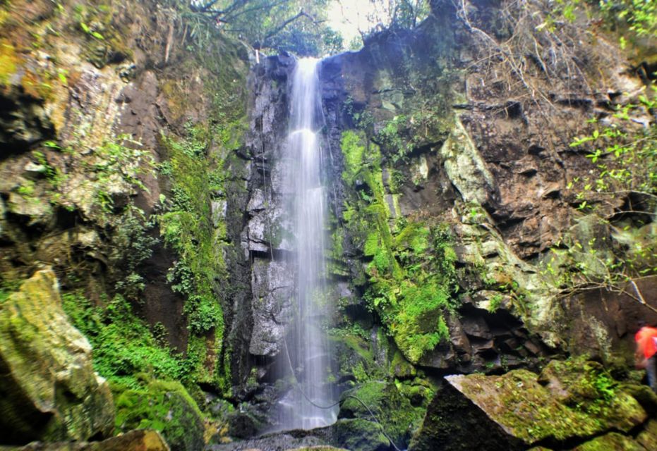 From Foz Do Iguaçu: Secret Falls Adventure - Itinerary Features
