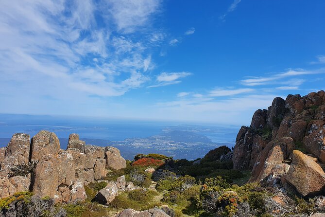 From Hobart: Mt Wellington Morning Walking Tour - Inclusions