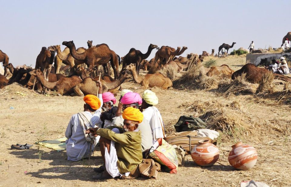 From Jaipur: Same Day Pushkar Self-Guided Day Trip - Important Information