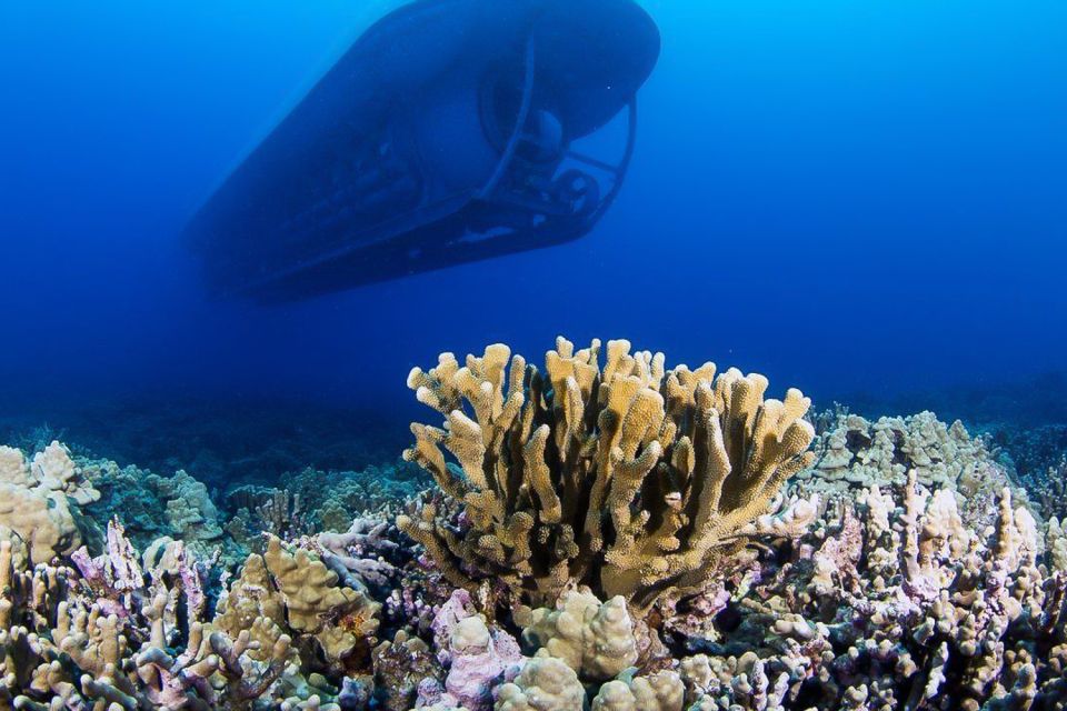 From Kona: Big Island Underwater Submarine Adventure - Booking and Cancellation