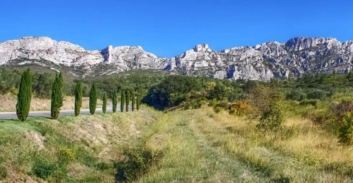 From Marseille: Full-Day Les Baux De Provence Wine Tour - Tour Provider and Highlights