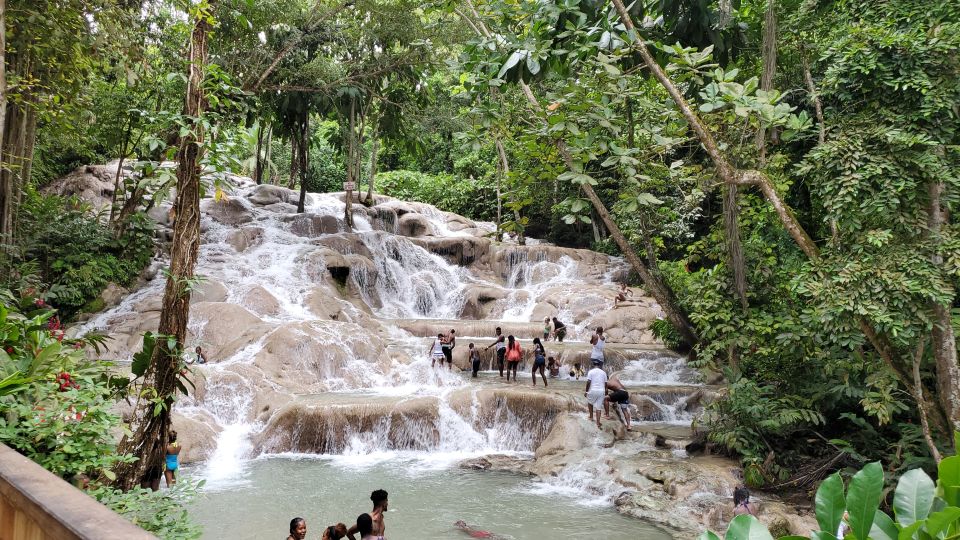 From Montego Bay: Dunn's River Falls Experience - Itinerary