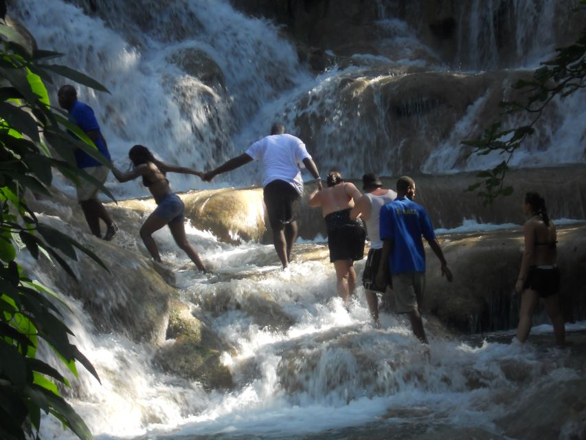 From Ocho Rios: Bob Marley & Dunn's River Falls 6/7Hour Tour - Language and Availability Details