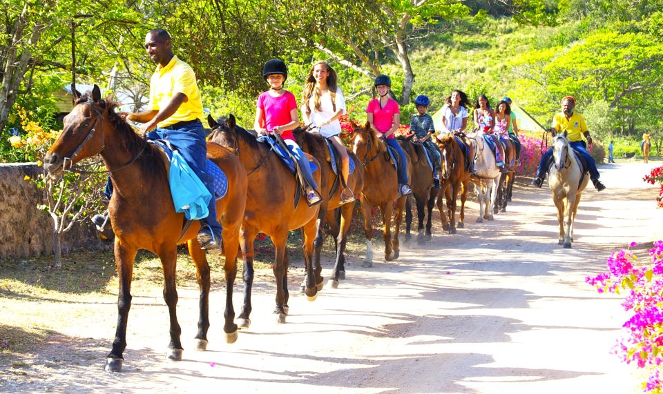 From Ocho Rios: Scenic Guided Horseback Ride With Transfer - Adventure Description