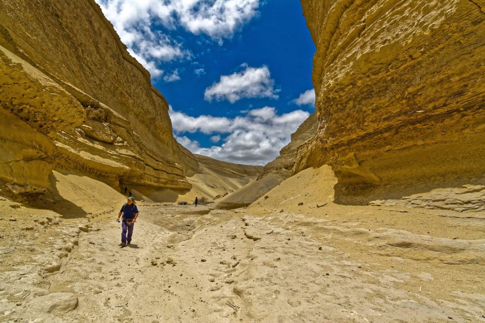 From Paracas/Ica: Canyon of the Lost Guided Day Trip - Experience Description